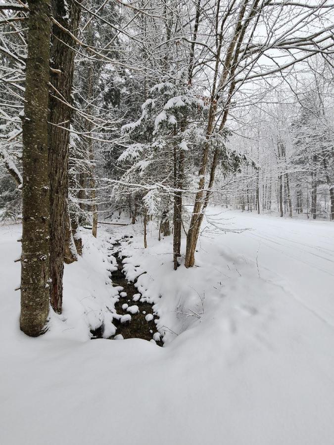 Ski In/Out Spruce Glen Townhomes On Great Eastern Trail Killington Exterior foto